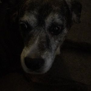 Meet your Posher, Marilynn